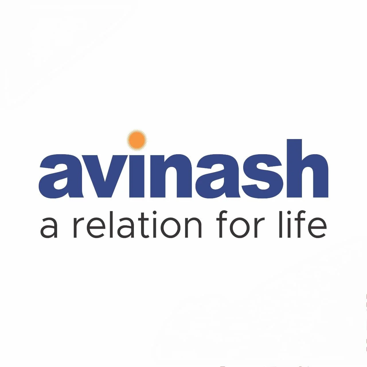 Avinash Group 